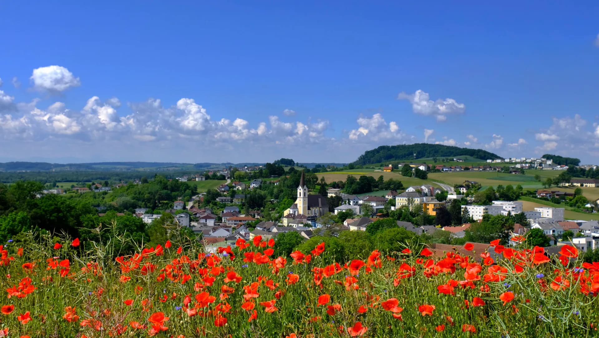 Dein St. Georgen kann mehr